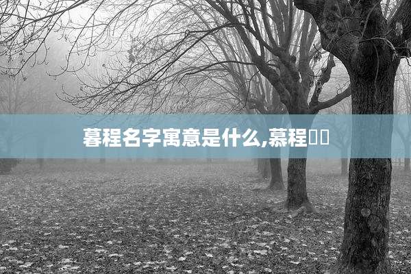 暮程名字寓意是什么,慕程滺滺
