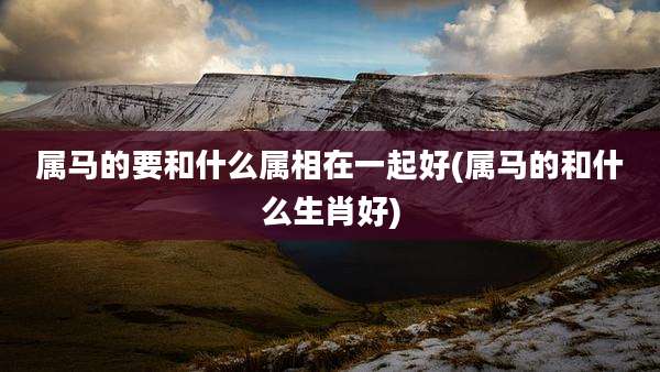 属马的要和什么属相在一起好(属马的和什么生肖好)
