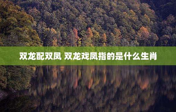 双龙配双凤 双龙戏凤指的是什么生肖