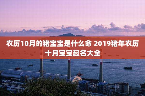 农历10月的猪宝宝是什么命 2019猪年农历十月宝宝起名大全
