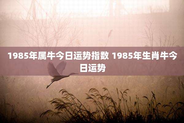 1985年属牛今日运势指数 1985年生肖牛今日运势