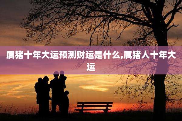属猪十年大运预测财运是什么,属猪人十年大运