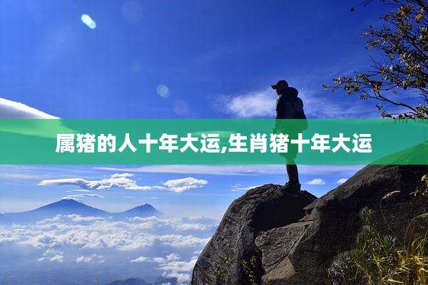 属猪的人十年大运,生肖猪十年大运