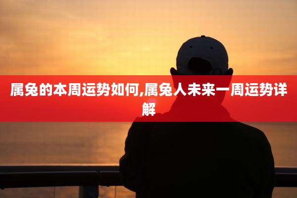 属兔的本周运势如何,属兔人未来一周运势详解