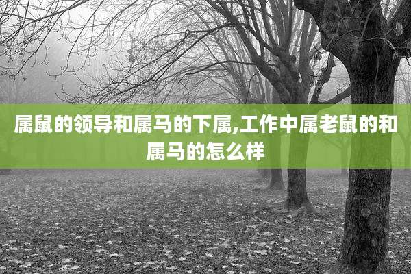 属鼠的领导和属马的下属,工作中属老鼠的和属马的怎么样