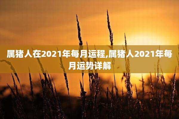属猪人在2021年每月运程,属猪人2021年每月运势详解