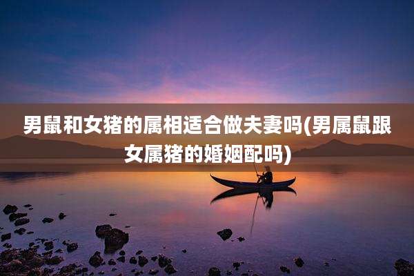 男鼠和女猪的属相适合做夫妻吗(男属鼠跟女属猪的婚姻配吗)