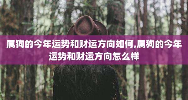 属狗的今年运势和财运方向如何,属狗的今年运势和财运方向怎么样