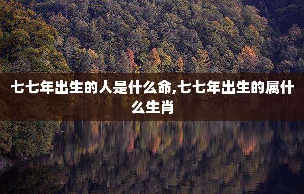 七七年出生的人是什么命,七七年出生的属什么生肖