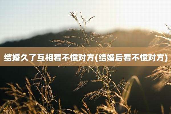 结婚久了互相看不惯对方(结婚后看不惯对方)