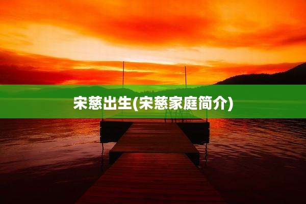 宋慈出生(宋慈家庭简介)
