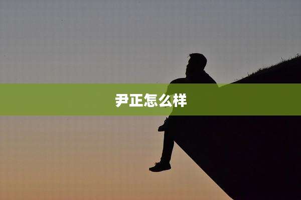 尹正怎么样