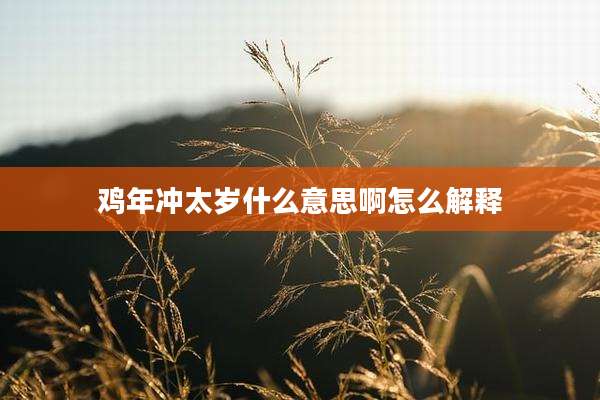 鸡年冲太岁什么意思啊怎么解释