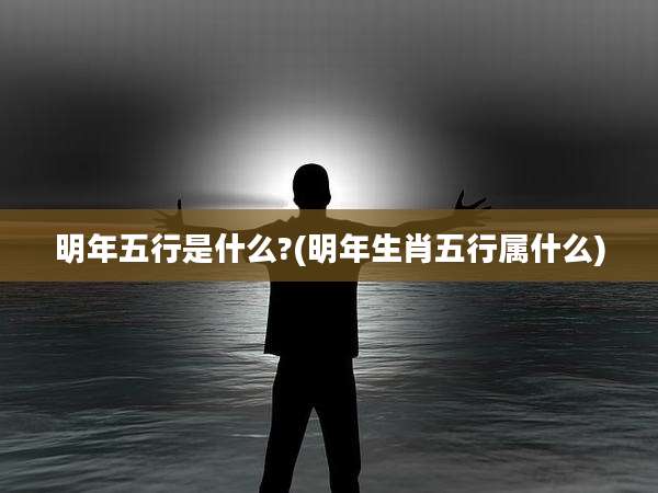 明年五行是什么?(明年生肖五行属什么)