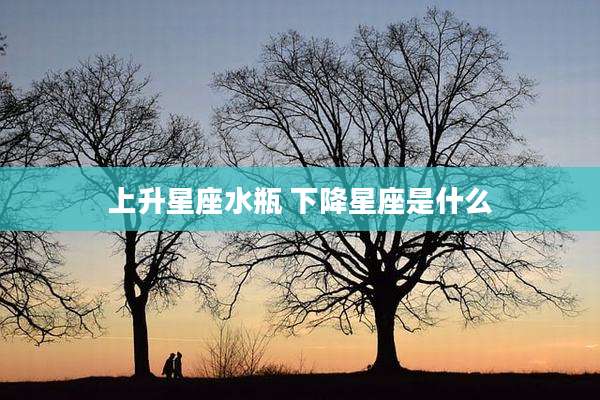 上升星座水瓶 下降星座是什么