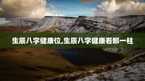 生辰八字健康位,生辰八字健康看那一柱
