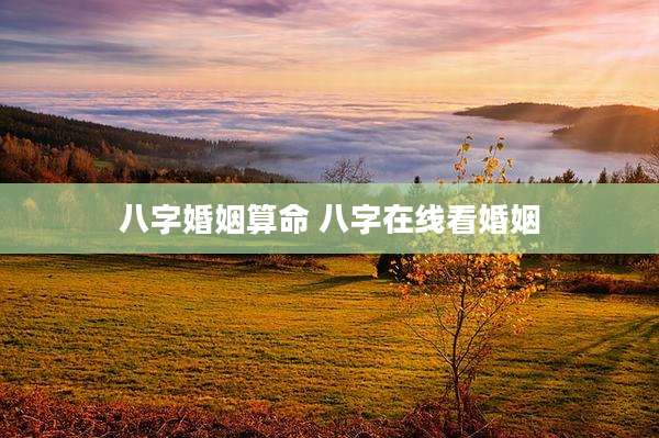 八字婚姻算命 八字在线看婚姻