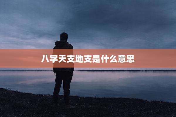 八字天支地支是什么意思
