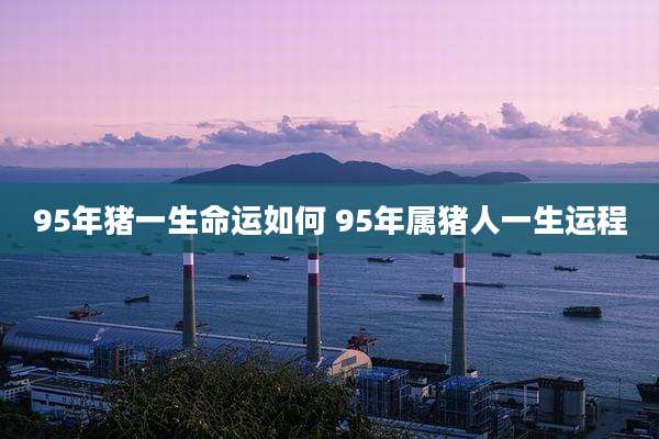 95年猪一生命运如何 95年属猪人一生运程