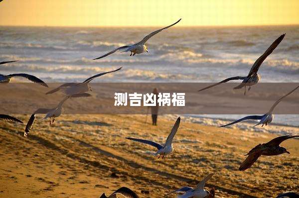 测吉凶祸福