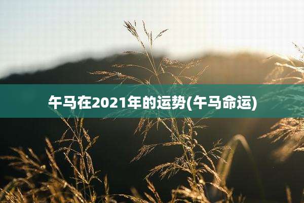 午马在2021年的运势(午马命运)
