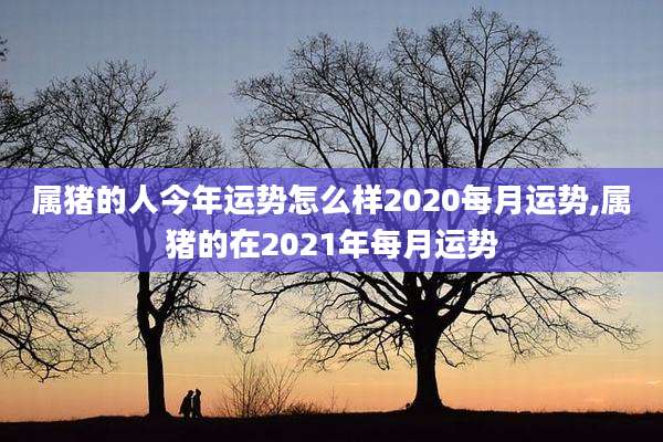 属猪的人今年运势怎么样2020每月运势,属猪的在2021年每月运势