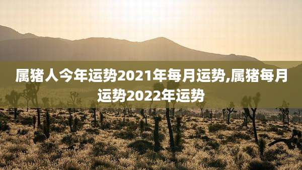 属猪人今年运势2021年每月运势,属猪每月运势2022年运势