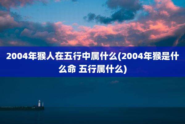 2004年猴人在五行中属什么(2004年猴是什么命 五行属什么)
