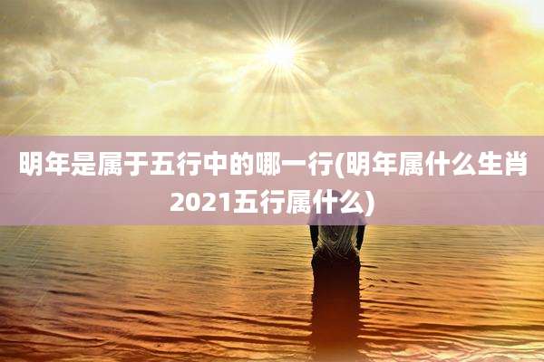 明年是属于五行中的哪一行(明年属什么生肖2021五行属什么)