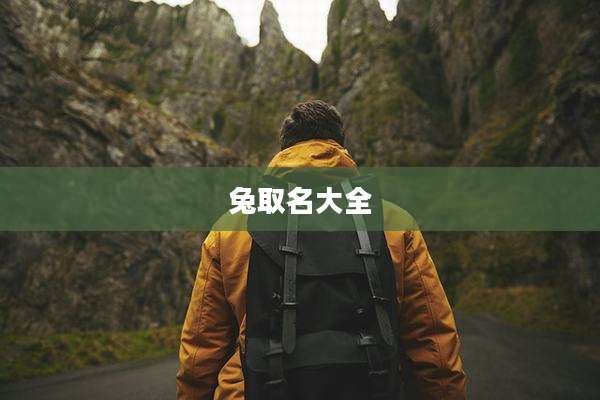 兔取名大全