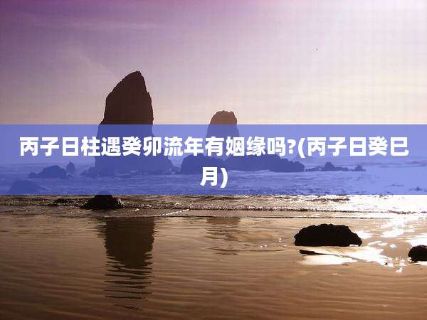 丙子日柱遇癸卯流年有姻缘吗?(丙子日癸巳月)