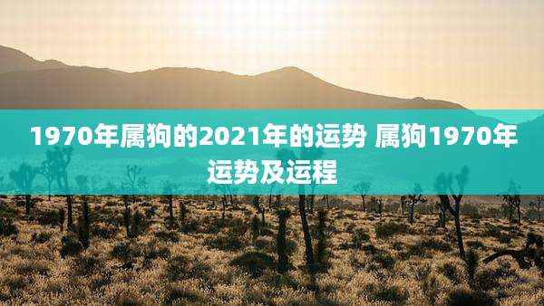 1970年属狗的2021年的运势 属狗1970年运势及运程
