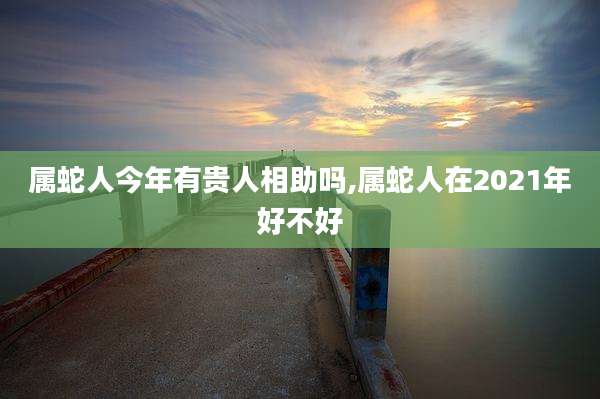 属蛇人今年有贵人相助吗,属蛇人在2021年好不好