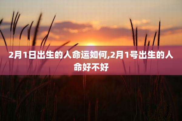 2月1日出生的人命运如何,2月1号出生的人命好不好