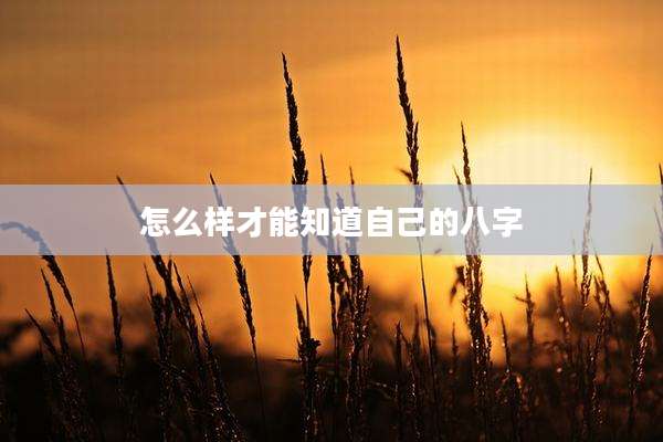 怎么样才能知道自己的八字