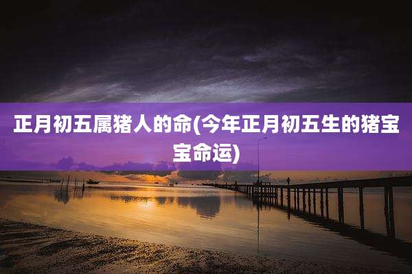正月初五属猪人的命(今年正月初五生的猪宝宝命运)