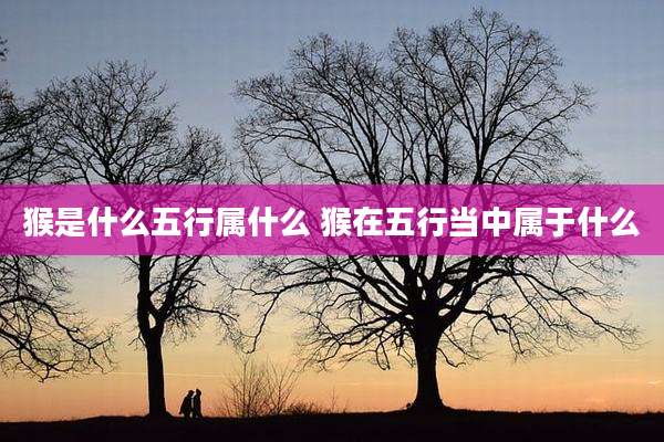 猴是什么五行属什么 猴在五行当中属于什么