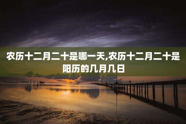 农历十二月二十是哪一天,农历十二月二十是阳历的几月几日