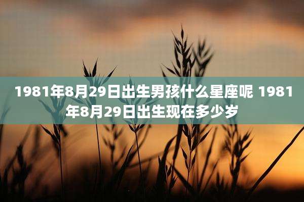 1981年8月29日出生男孩什么星座呢 1981年8月29日出生现在多少岁