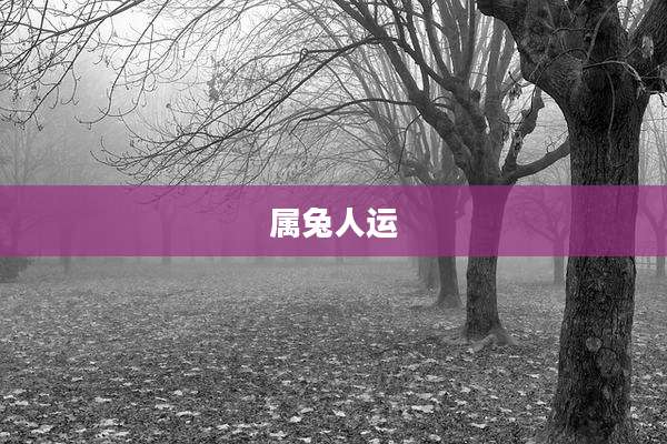 属兔人运