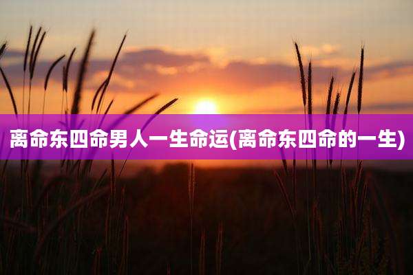 离命东四命男人一生命运(离命东四命的一生)