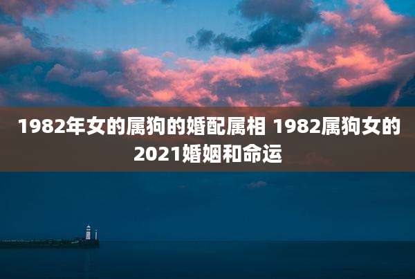 1982年女的属狗的婚配属相 1982属狗女的2021婚姻和命运