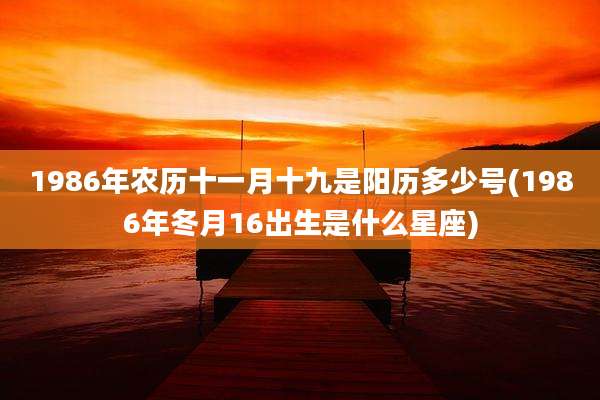 1986年农历十一月十九是阳历多少号(1986年冬月16出生是什么星座)