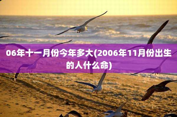 06年十一月份今年多大(2006年11月份出生的人什么命)