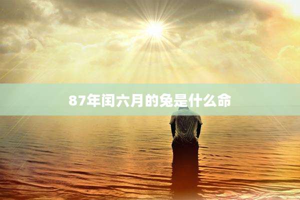 87年闰六月的兔是什么命