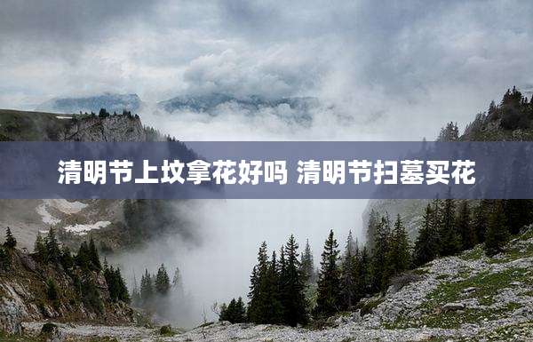 清明节上坟拿花好吗 清明节扫墓买花