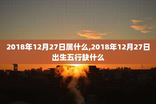 2018年12月27日属什么,2018年12月27日出生五行缺什么