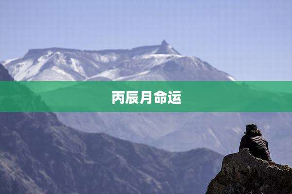 丙辰月命运