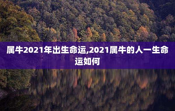 属牛2021年出生命运,2021属牛的人一生命运如何