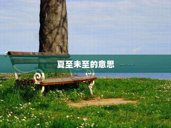 夏至未至的意思